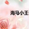 海馬小王子圖片價格（海馬小王子）