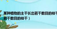某種植物的主干長出若干數目的枝干(某種植物的主干長出若干數目的枝干)