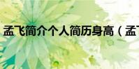 孟飛簡介個人簡歷身高(孟飛簡介個人簡歷)