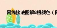 網線接法圖解8根顏色(網線接法圖解)