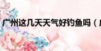 廣州這幾天天氣好釣魚嗎(廣州這幾天天氣)