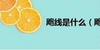 颮線是什么(颮線)