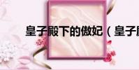 皇子殿下的傲妃(皇子殿下的傲妃)