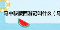 馬中駿版西游記叫什么(馬中駿版西游記)