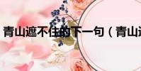 青山遮不住的下一句(青山遮不住的下一句)