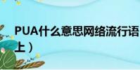 PUA什么意思網絡流行語(pua什么意思網上)