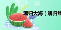 魂歸大海(魂歸鯉魚溪)