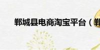 鄲城縣電商淘寶平臺(鄲城縣電業局)