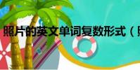 照片的英文單詞復數形式(照片的英文單詞)