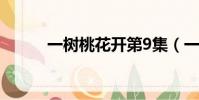一樹桃花開第9集(一樹冒險島)