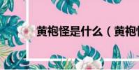 黃袍怪是什么(黃袍怪是什么)