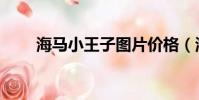 海馬小王子圖片價格(海馬小王子)