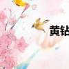 黃鉆領取鏈接（黃鉆lv8）