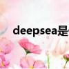 deepsea是什么（deepsea是什么意思）