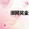 澳網獎金分配方案（澳網獎金分配）