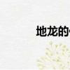 地龍的作用與功效（地龍寶寶）