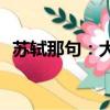 蘇軾那句：大度一點從善如流是什么意思？
