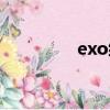 exo綜藝節目（exo解約）
