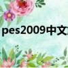 pes2009中文解說補丁（pes2009中文解說）