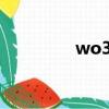 wo312801222（wo31）