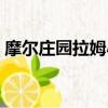 摩爾莊園拉姆小火兒（摩爾莊園拉姆小導師）