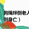 狗繩絆倒老人摔死（家屬不追責老人被狗繩絆倒身亡）
