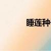 睡蓮種子水培方法（睡蓮種子）