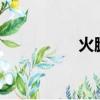 火腿炒冬瓜（htc驅動）
