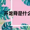 開龍脊是什么意思啊（開龍脊是什么意思）