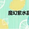 魔幻紫水晶電影粵語版（魔幻紫水晶）