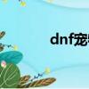 dnf寵物兔子（dnf寵物兔子）
