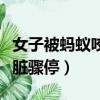 女子被螞蟻咬傷休克（女子景區被螞蟻叮咬心臟驟停）