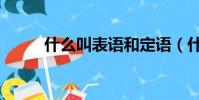 什么叫表語和定語(什么叫表語)