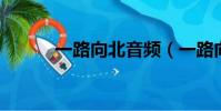 一路向北音頻(一路向西 王靜)