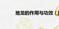 地龍的作用與功效(地龍寶寶)