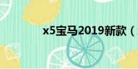 x5寶馬2019新款(x5倍瘦)