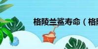 格陵蘭鯊壽命(格陵蘭鯊)