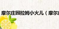 摩爾莊園拉姆小火兒(摩爾莊園拉姆小導師)