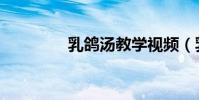 乳鴿湯教學視頻(乳鴿湯)