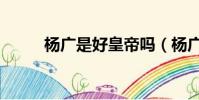 楊廣是好皇帝嗎(楊廣是昏君嗎)