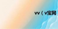 vv(v寶網)