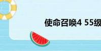 使命召喚4 55級檔案