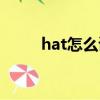 hat怎么讀諧音（hat怎么讀語音）