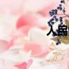 人民的正義（人民的拼音）