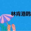 林肯港鸚鵡智商排名（林肯港鸚鵡）