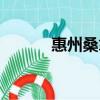 惠州桑拿酒店推薦（惠州桑拿）