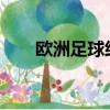 歐洲足球經理2012（歐洲足球經理）