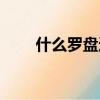 什么羅盤適合初學者（什么羅之戀）
