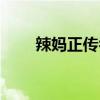 辣媽正傳喬安是誰（辣媽正傳喬安）