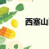 西塞山區拆遷示意圖（西塞山）